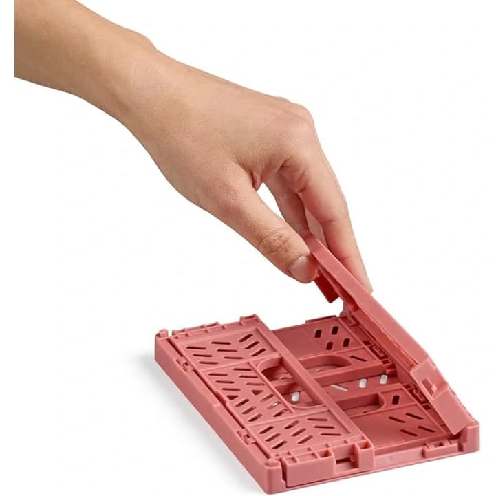 BASE CORAL 3.jpg